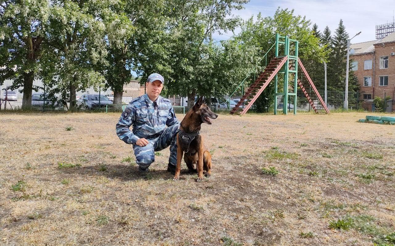 В Красноярском крае полицейские с помощью собаки установили мужчину, ранившего знакомого отвёрткой