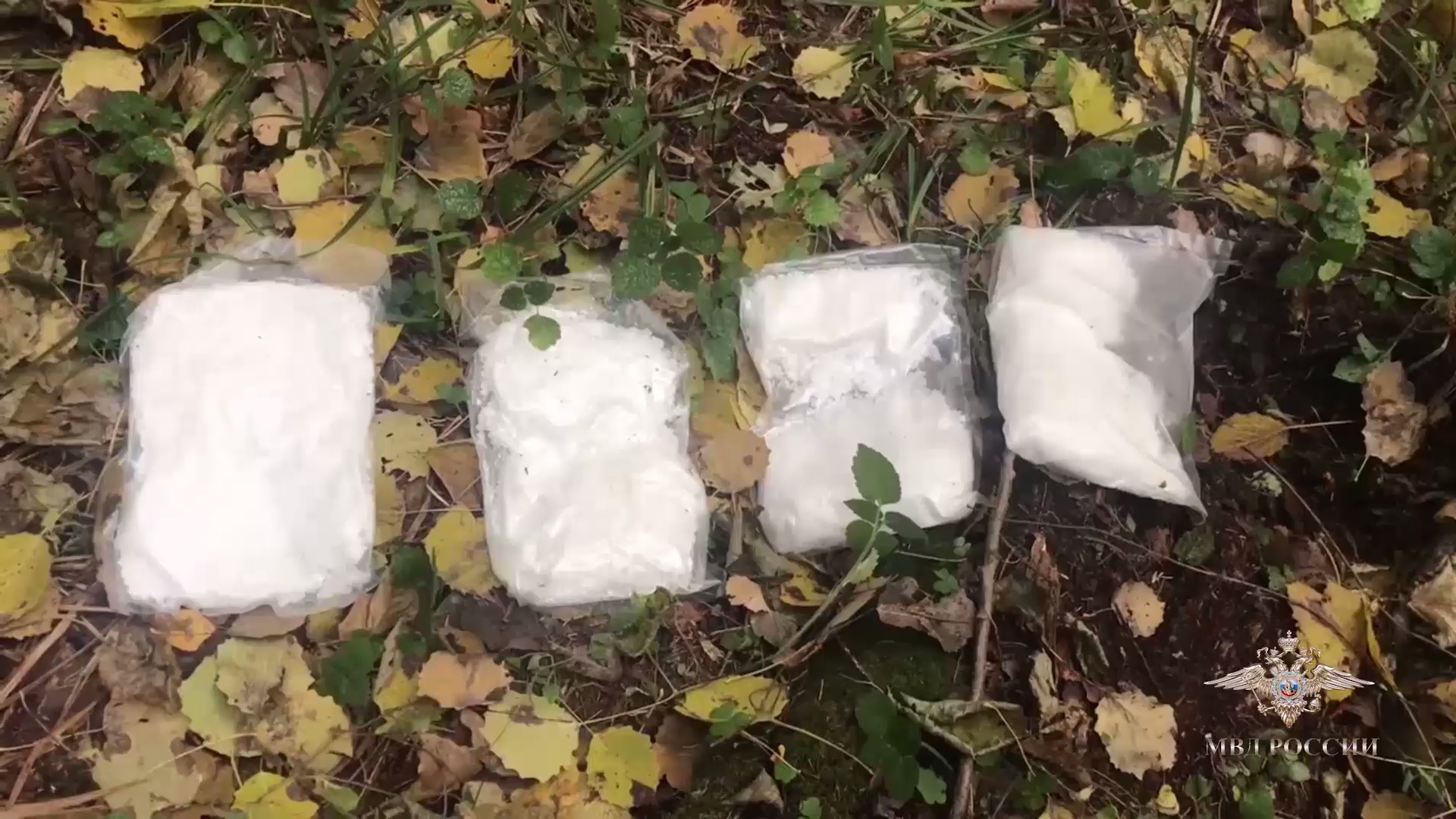 Транспортной полицией пресечена деятельность межрегиональной наркогруппировки
