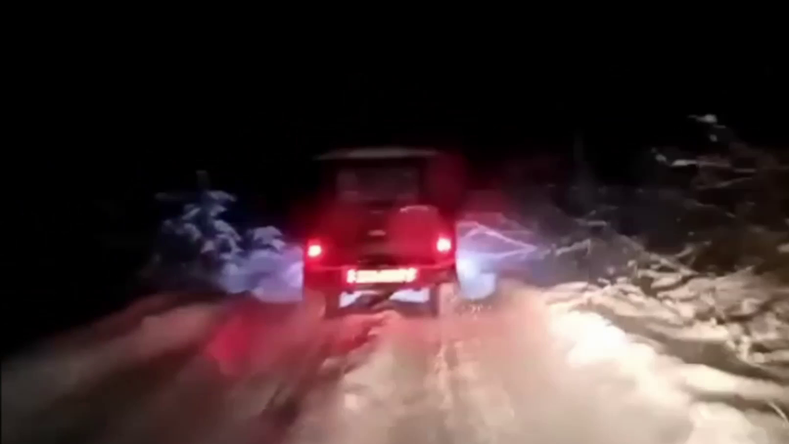 Житель Нижегородской области ответит в суде за незаконную охоту на двух лосей