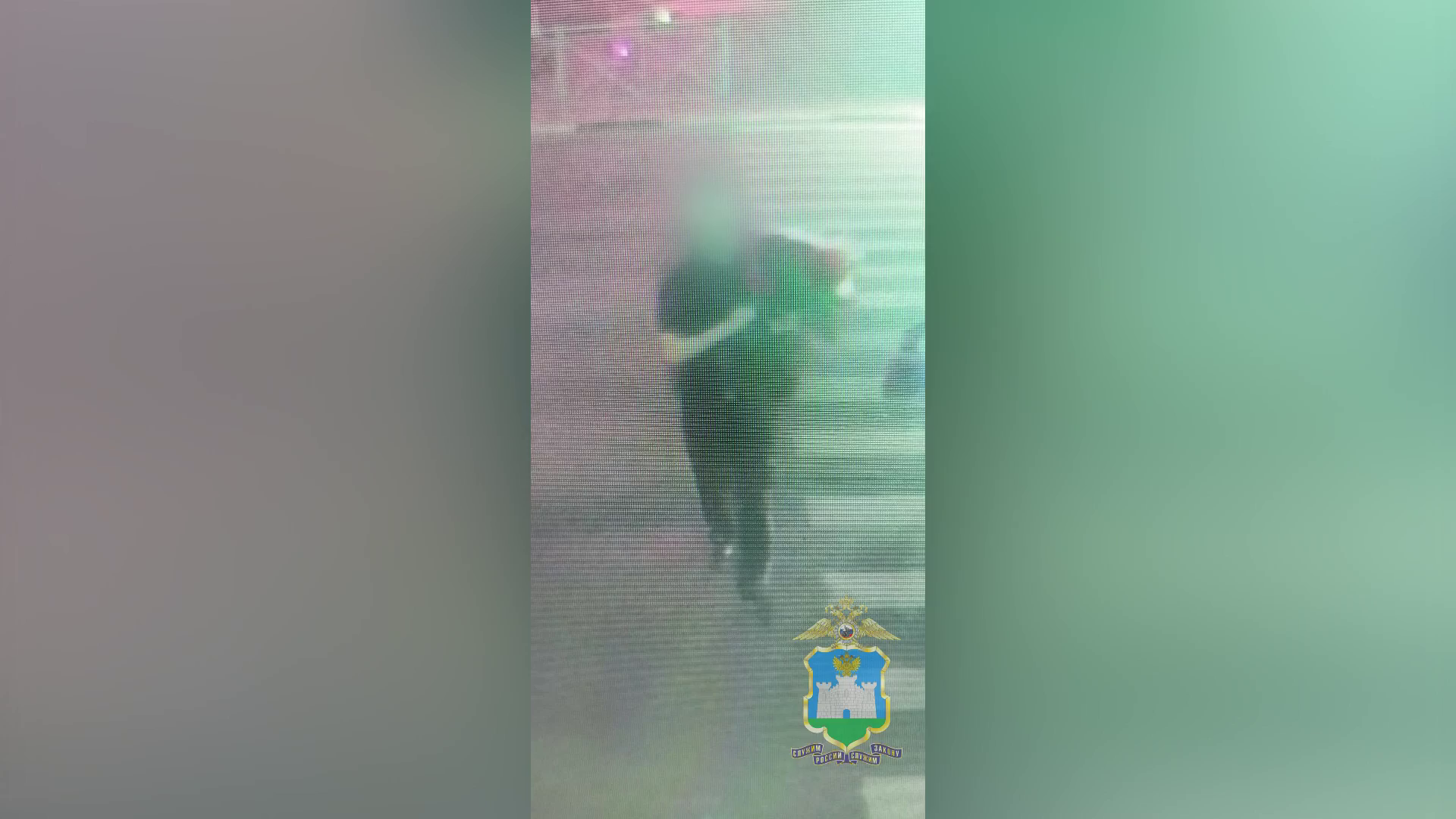 В Орле полицейские задержали мужчину, укравшего для дамы сердца 120 красных роз из цветочного киоска