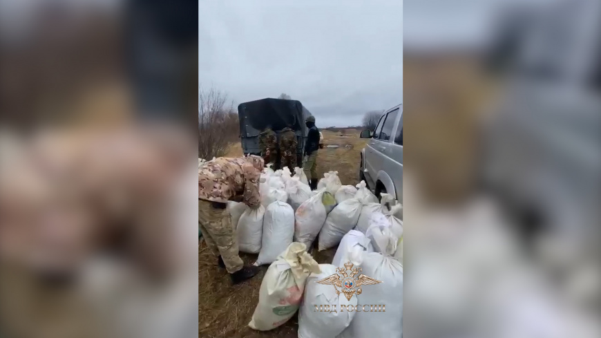 Полицейские изъяли одну из крупнейших партий марихуаны за последние два года