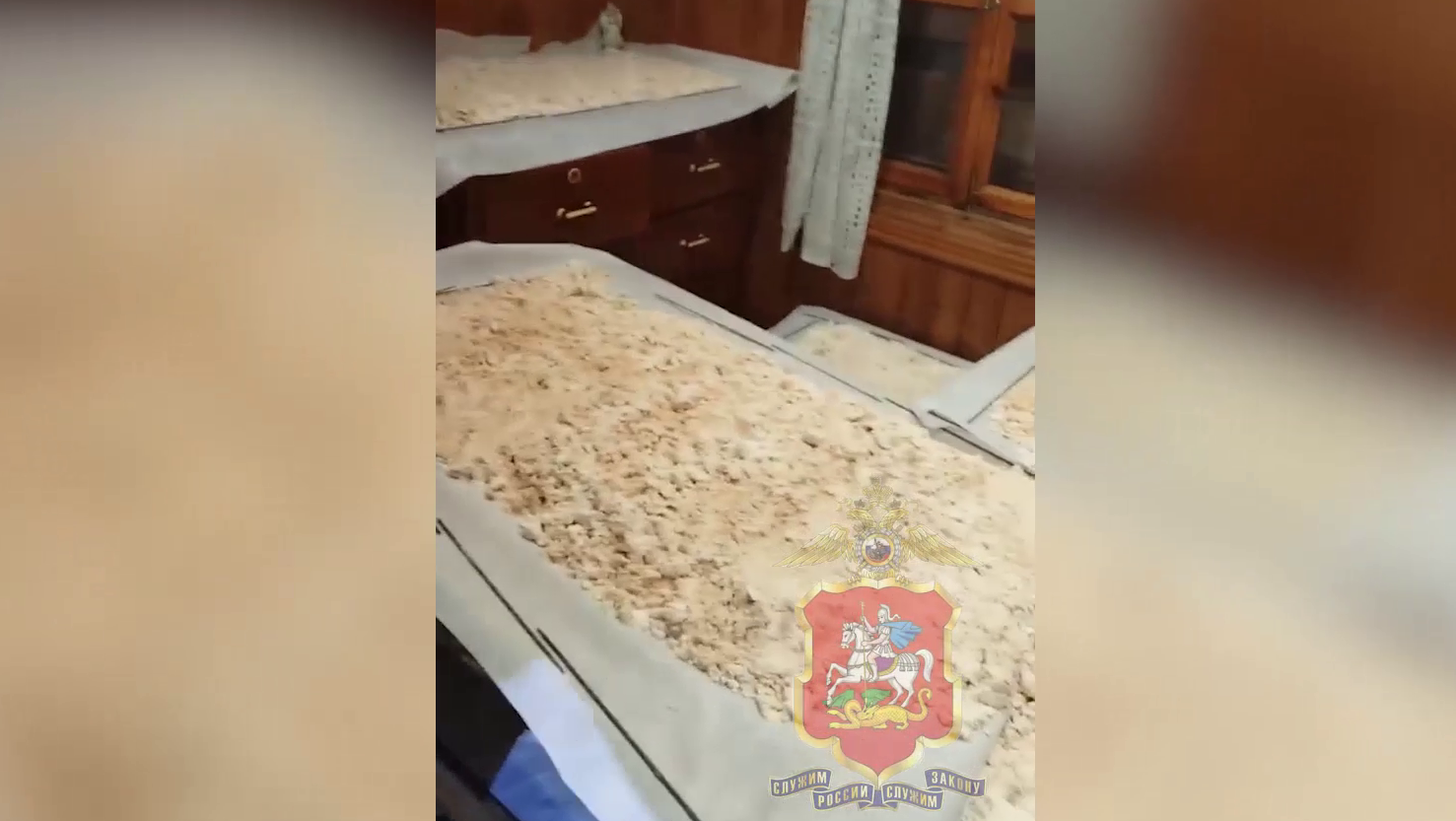 Нетрезвый прохожий, остановленный полицейскими в Подмосковье, оказался владельцем нарколаборатории