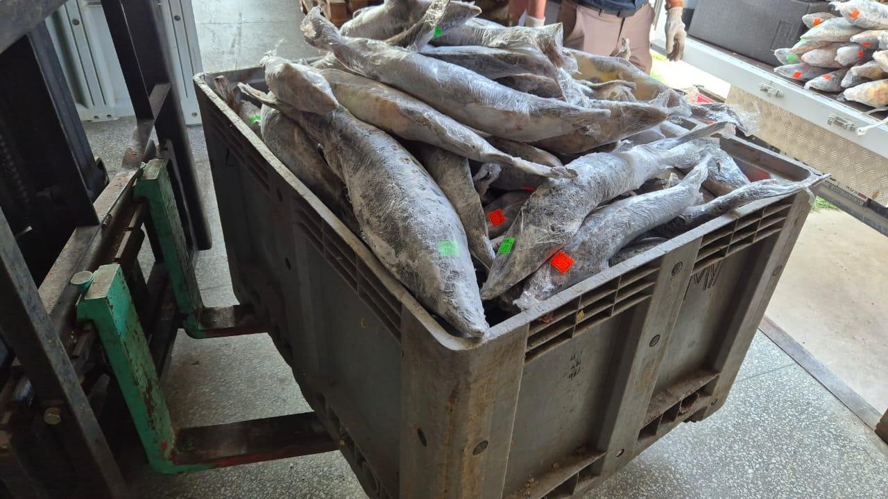 Астраханской полицией изъято 800 кг краснокнижной рыбы и свыше 100 кг чёрной икры без маркировки