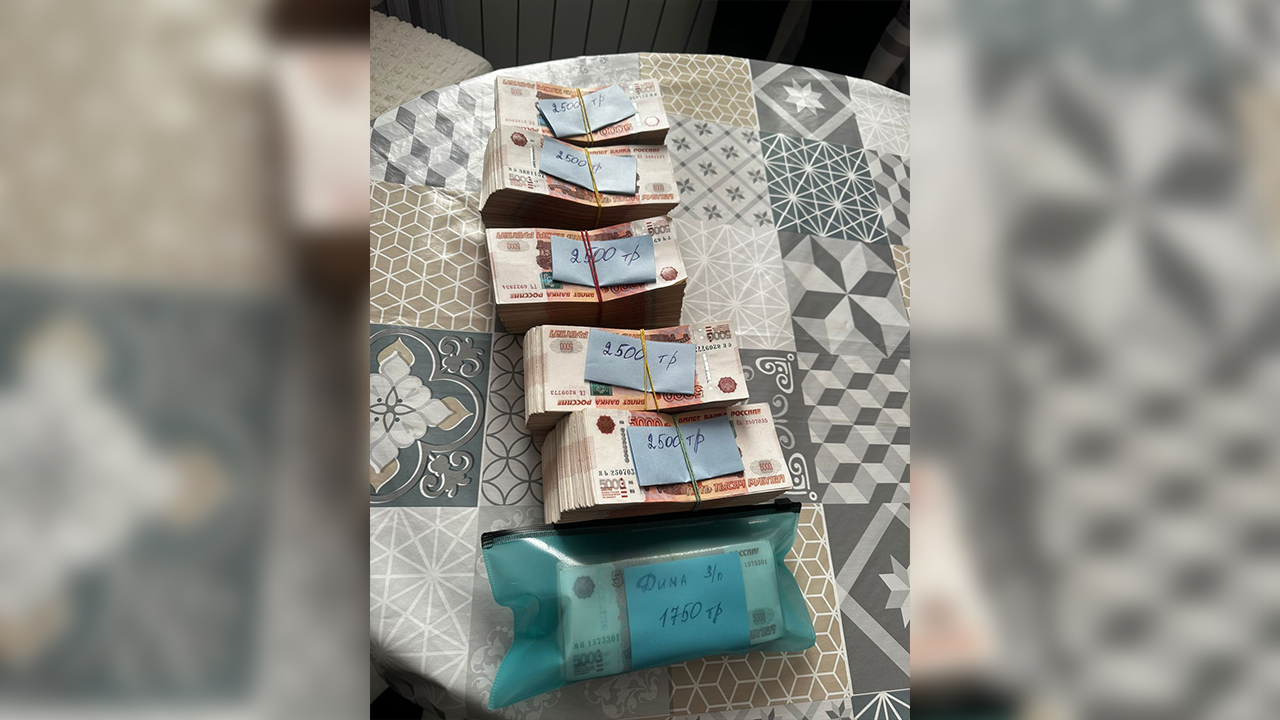 В Ростовской области транспортные полицейские пресекли незаконную банковскую деятельность