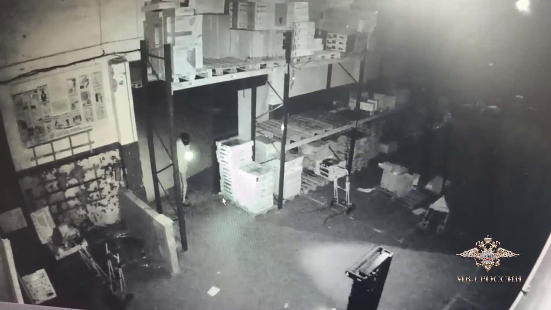 Ирина Волк: В Калининграде полицейские задержали подозреваемых в поджоге складских помещений с многомиллионным ущербом