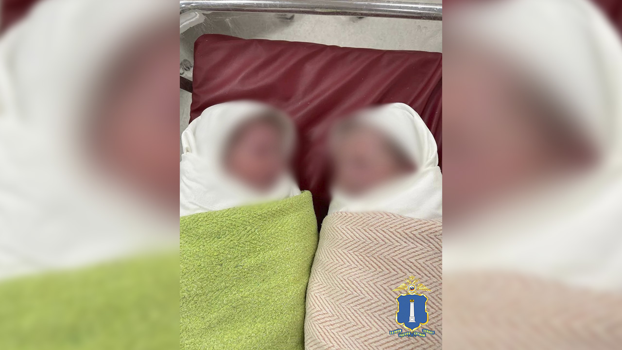 Жительницу Ульяновска осудят за аферу с фиктивным рождением двойни ради хищения денег у экс-бойфренда