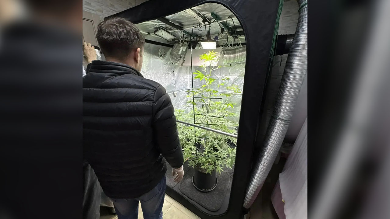 Наркоделец из Казани, выращивавший коноплю в своей квартире для продажи, заключён под стражу