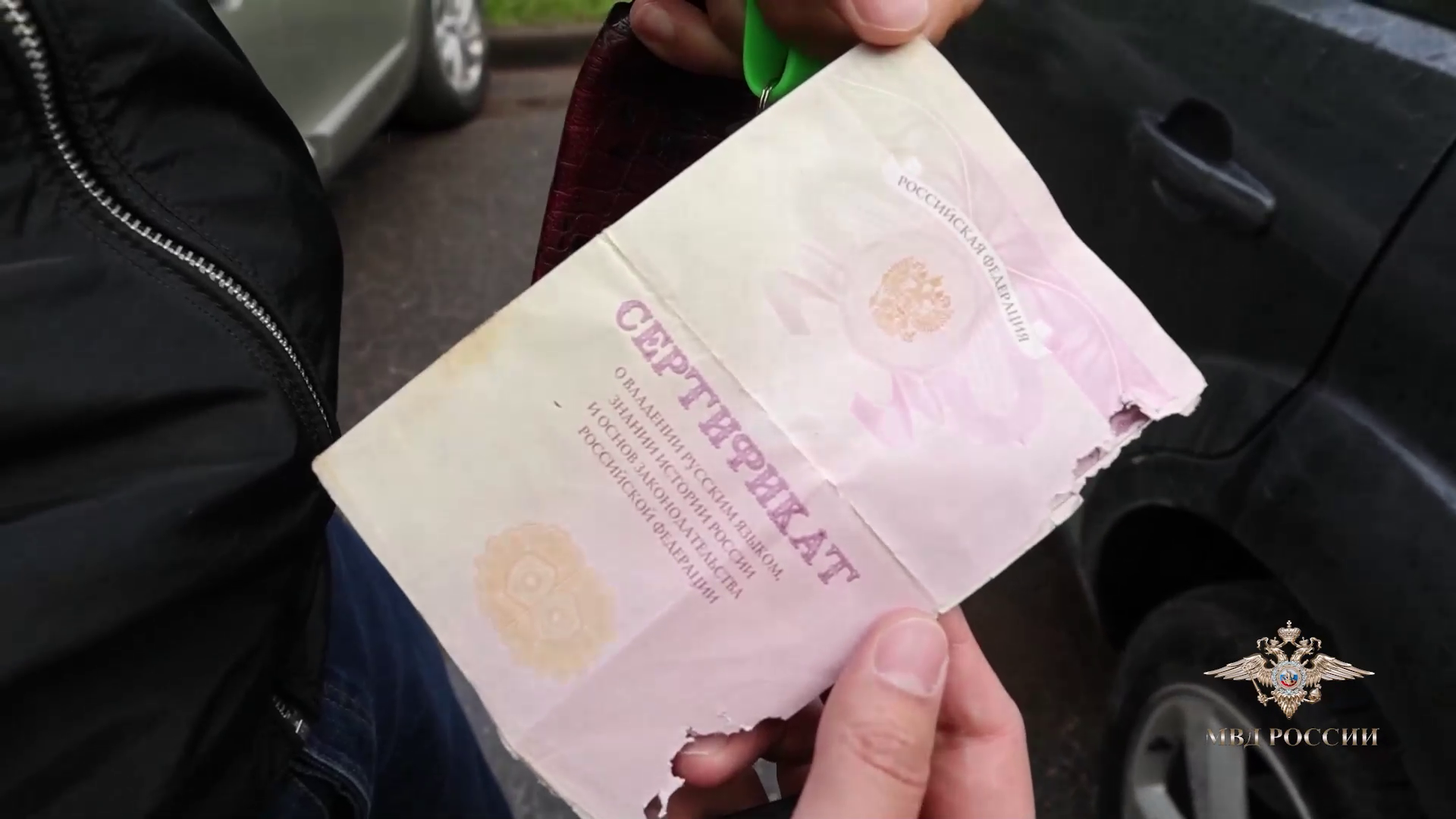 Ирина Волк: В Ленинградской области полицейские задержали подозреваемую в организации незаконной миграции