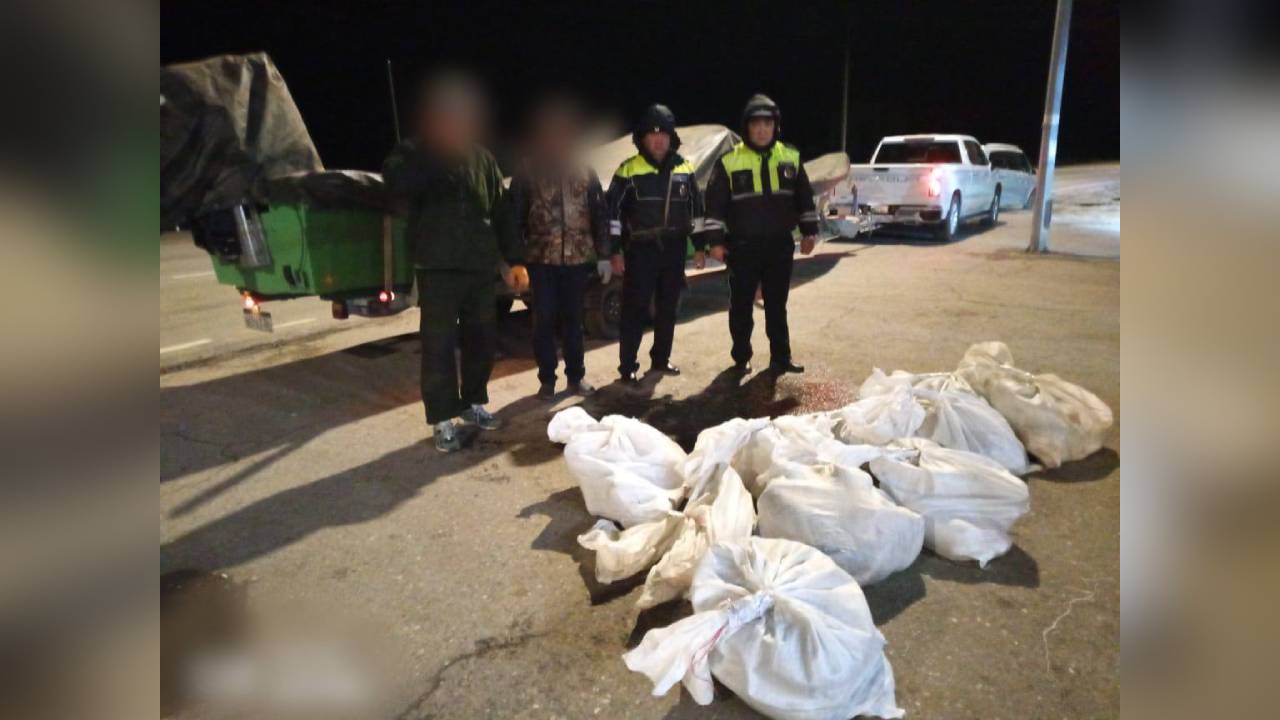 Астраханские полицейские уличили жителя Воронежа в перевозке осетров и чёрной икры без документов