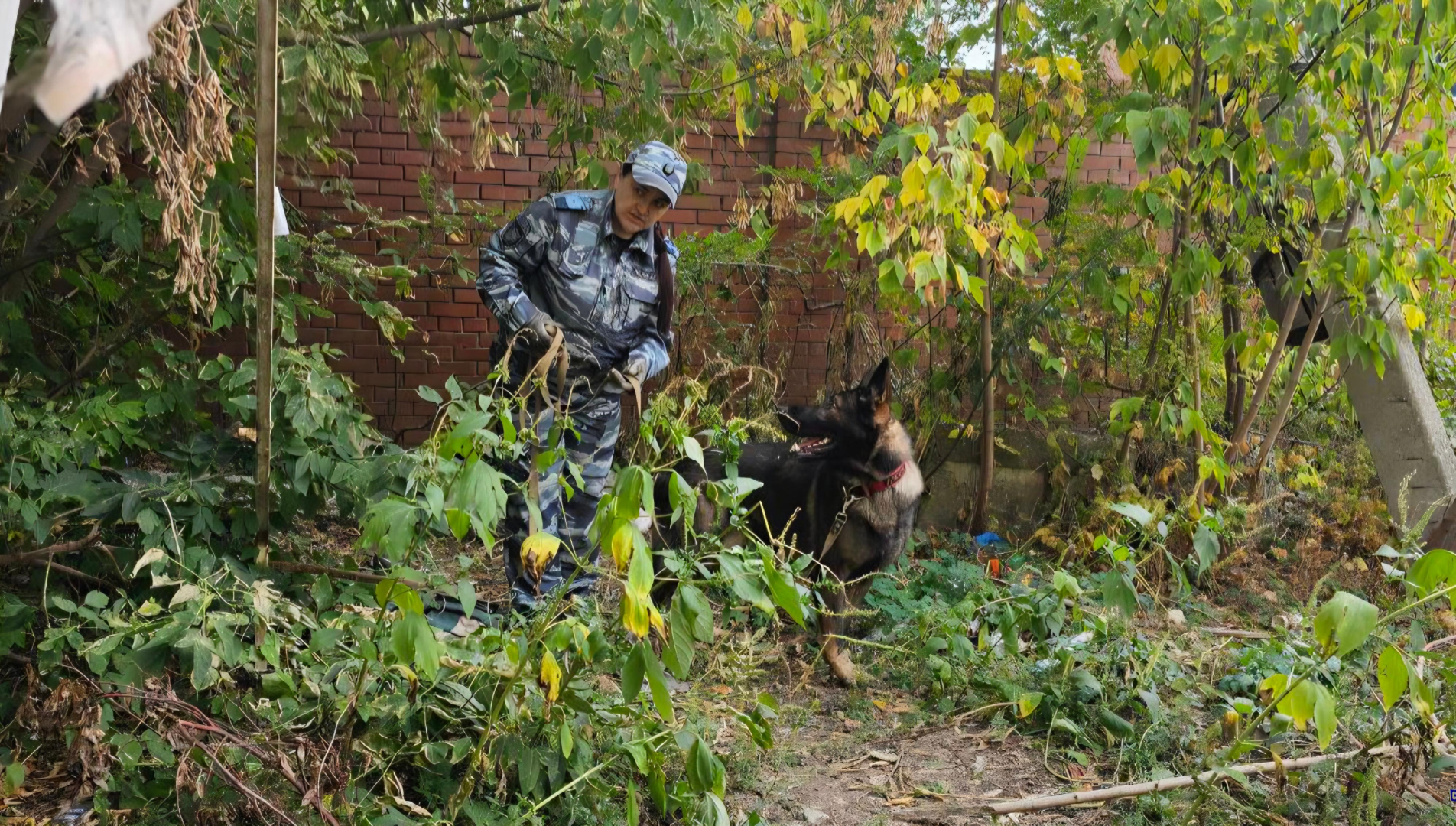 В Самаре служебная собака помогла полиции раскрыть кражу техники из центра психологической помощи