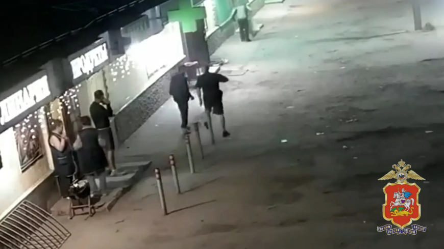 Полиция Подмосковья раскрыла грабёж, учинённый двумя нетрезвыми мужчинами