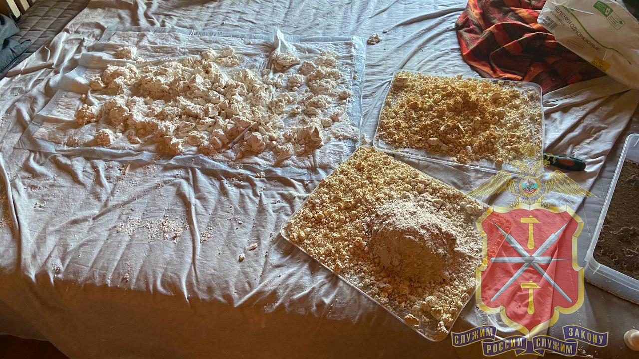 Тульские полицейские и сотрудники ГУНК МВД России выявили нарколабораторию в подмосковной деревне