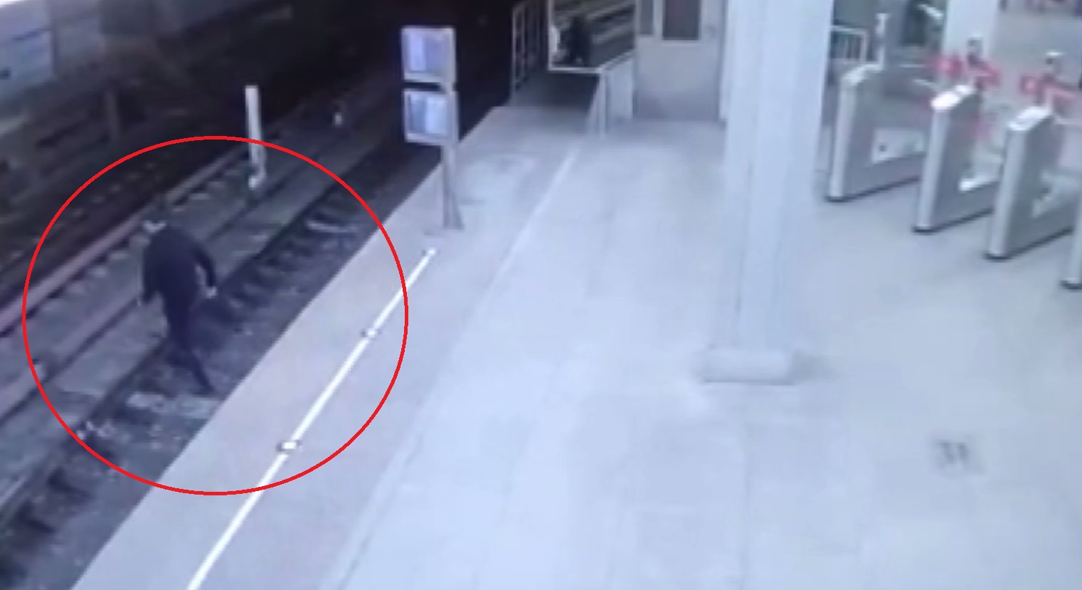 За один день на станции «Технопарк» столичного метро задержаны двое приезжих, спрыгнувшие на рельсы