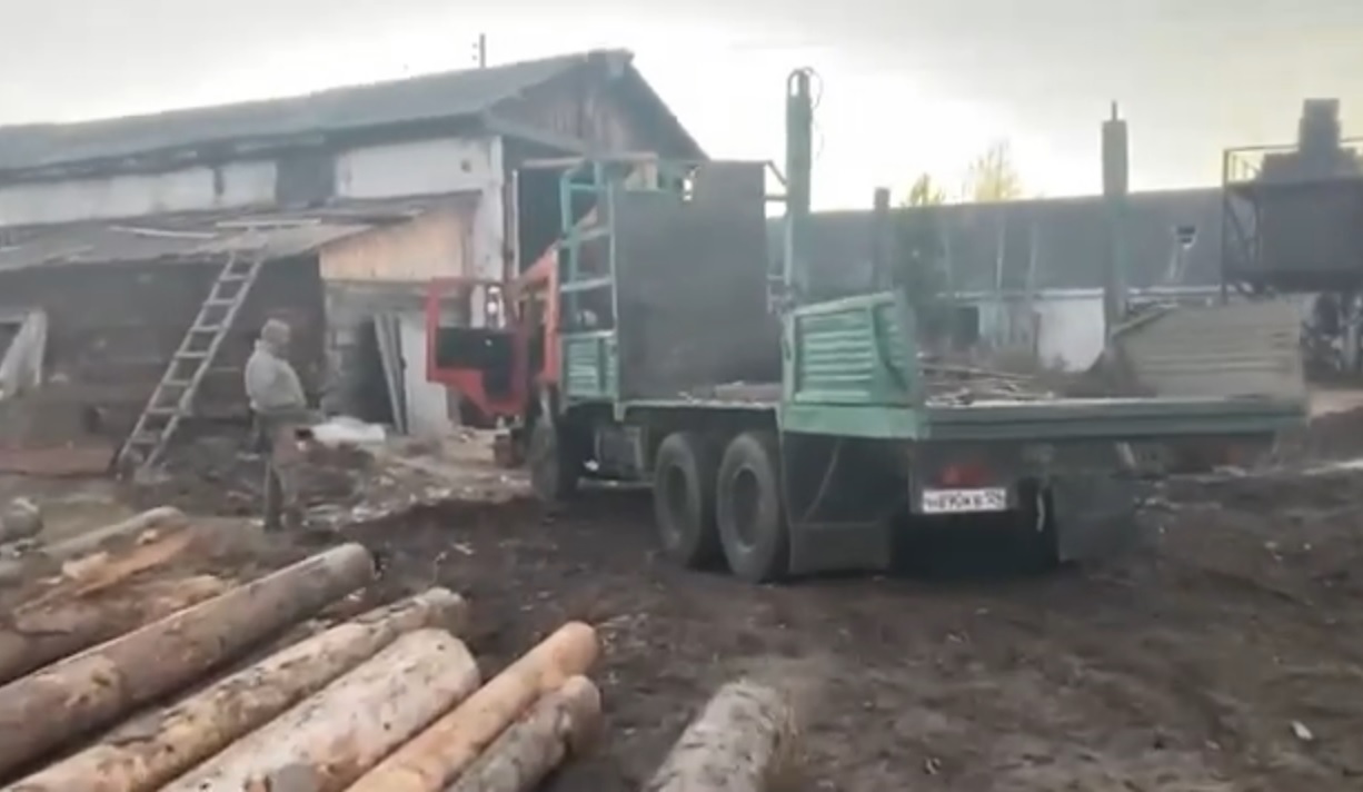 В Красноярском крае полицейские задержали подозреваемого в незаконной вырубке кедров