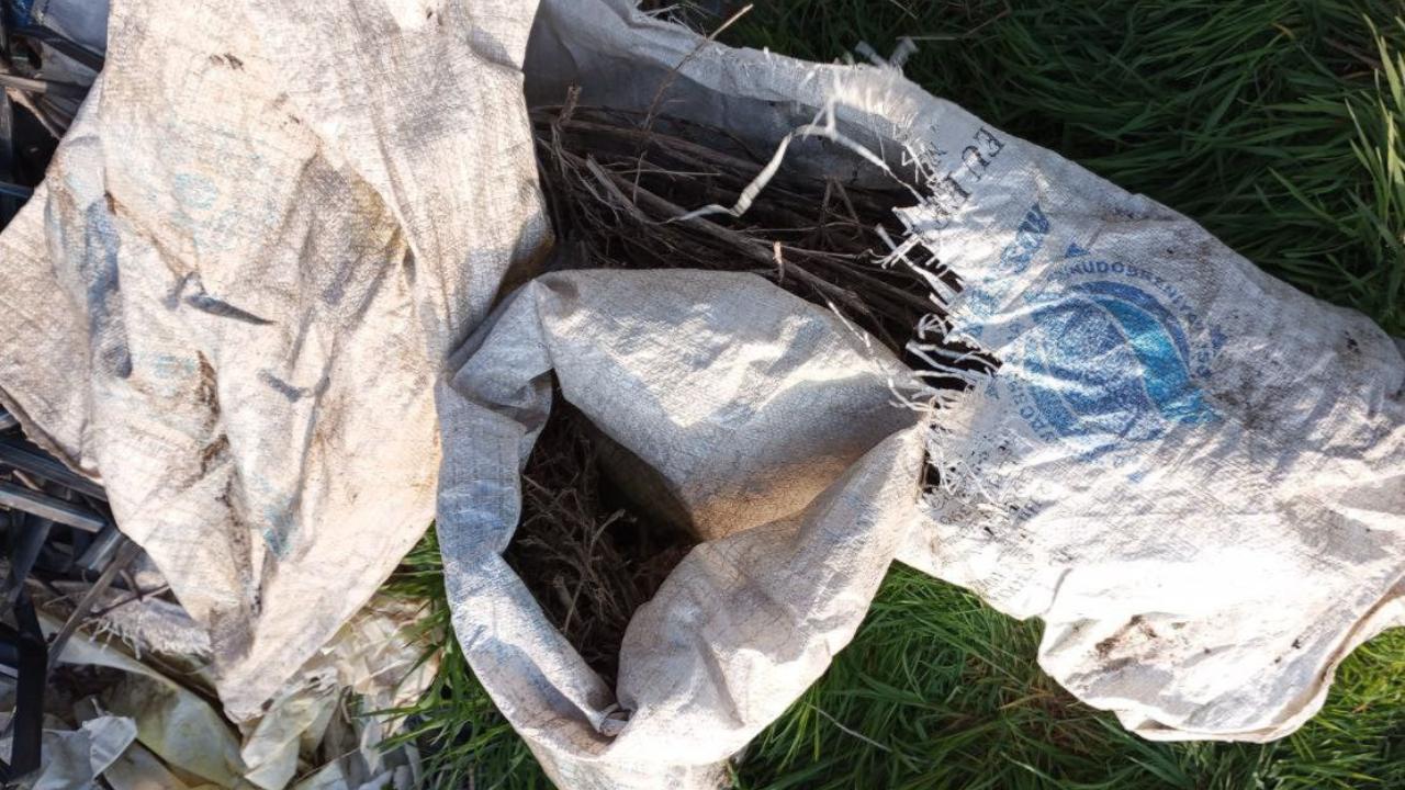 В Херсонской области полицейские обнаружили в поле возле села Велетнёвка 3 мешка высушенной конопли