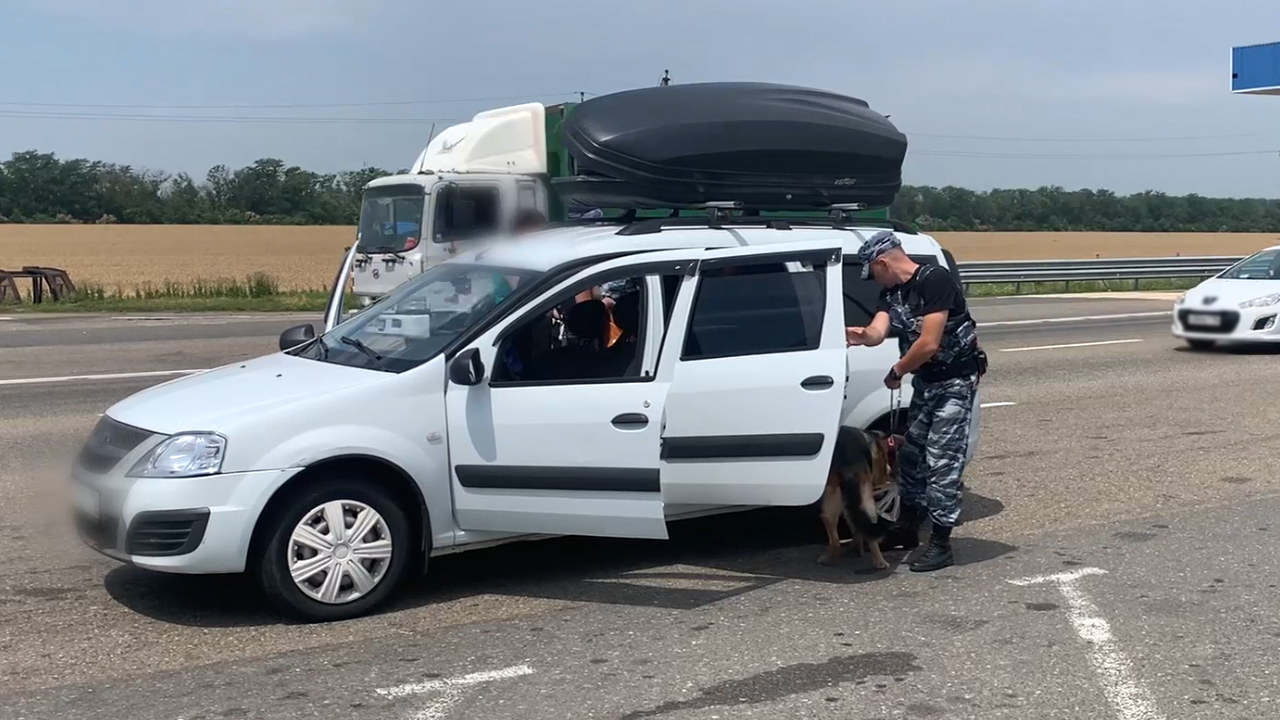 Краснодарские полицейские пресекли доставку крупной партии наркотиков в Крым