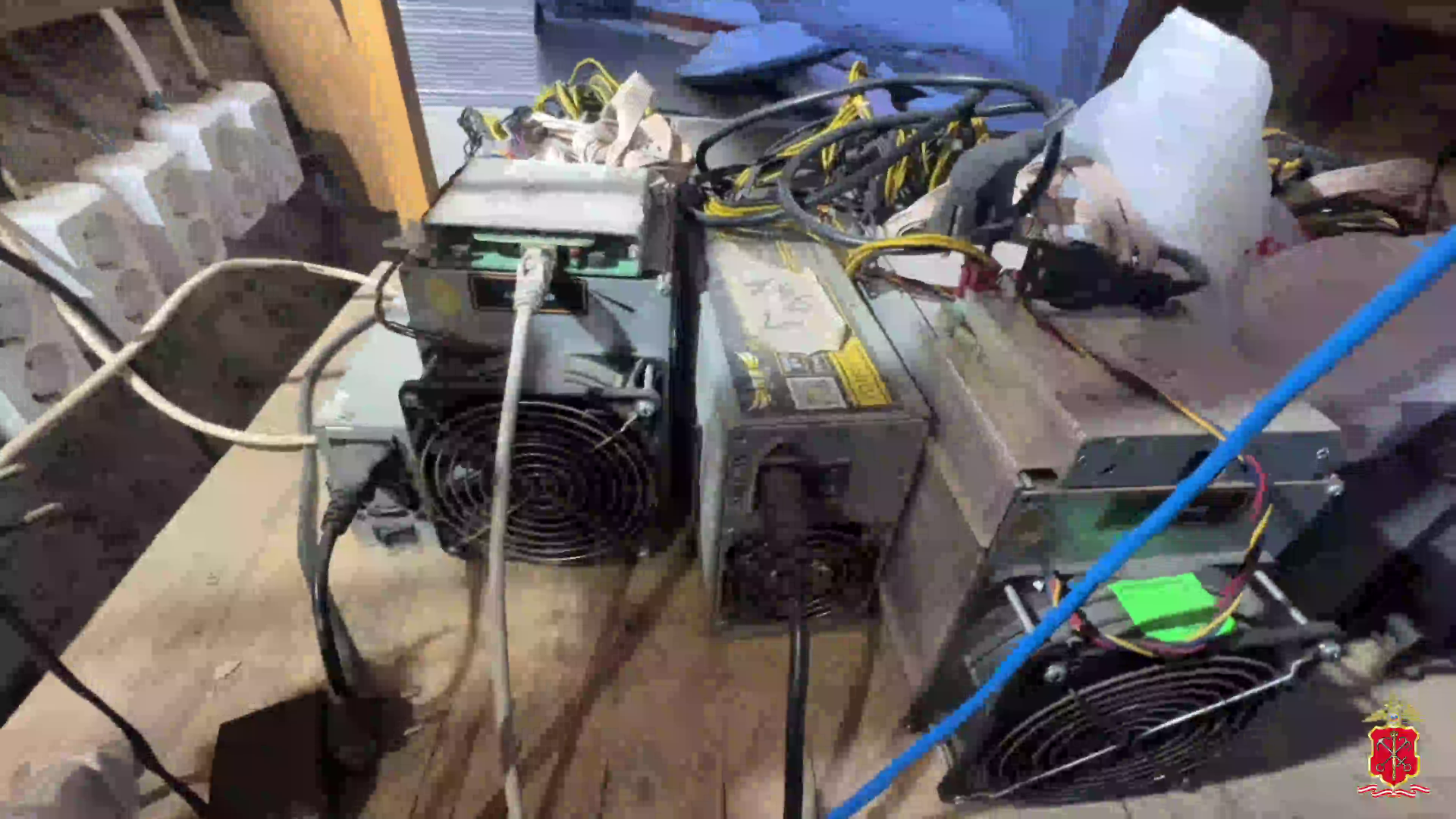 В Ленобласти полиция при проверке мест компактного проживания кочевого народа выявила майнинг-ферму