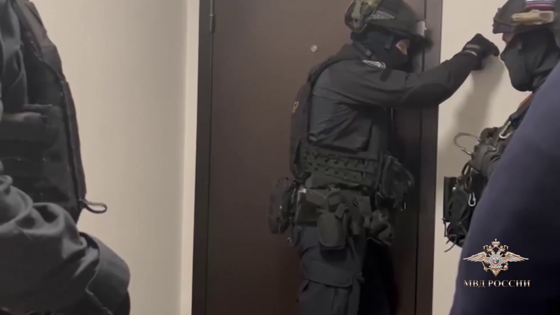 Ирина Волк: Полицейские Новой Москвы задержали подозреваемых в мошенничестве с предоставлением кредитов под залог недвижимости