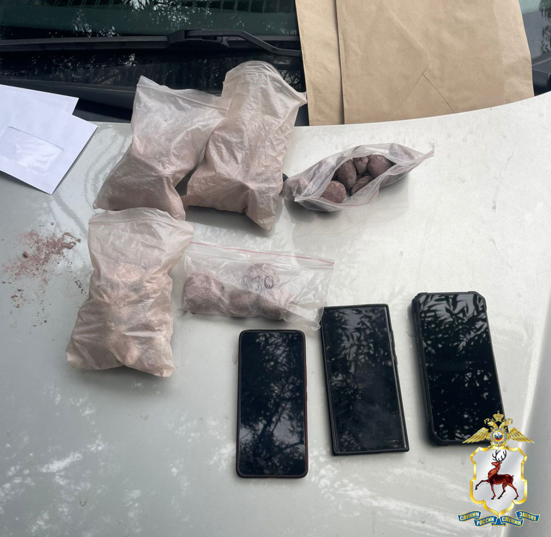 В Нижнем Новгороде полицейские изъяли из тайников более 3 кг наркотиков, замаскированных под камни