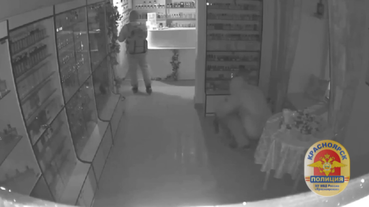 В Красноярске полицейские задержали двух подозреваемых в совершении серии краж