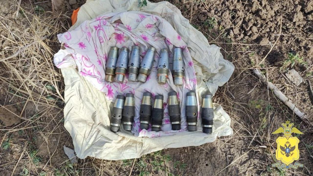 В Херсонской области полицейские обнаружили схрон со взрывными устройствами у жителя Каховского округа