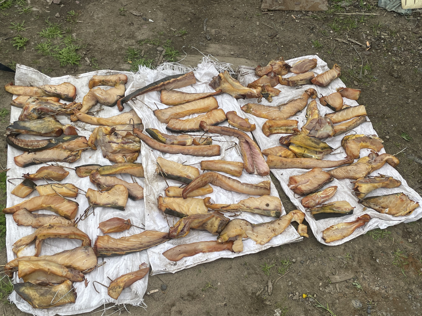 В незаконной добыче и обороте краснокнижной калуги полицейские Сахалина уличили отца и сына