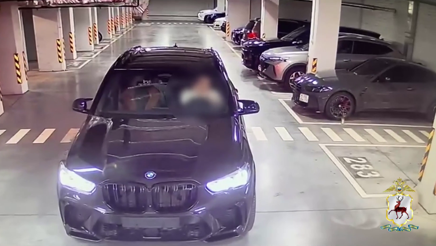 Нижегородские оперативники раскрыли разбойное нападение на владельца BMW с ущербом 13 млн рублей