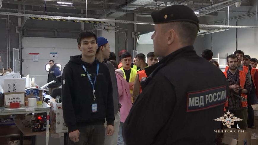 В МВД России подведены итоги первого этапа оперативно-профилактической операции «Нелегал – 2023»