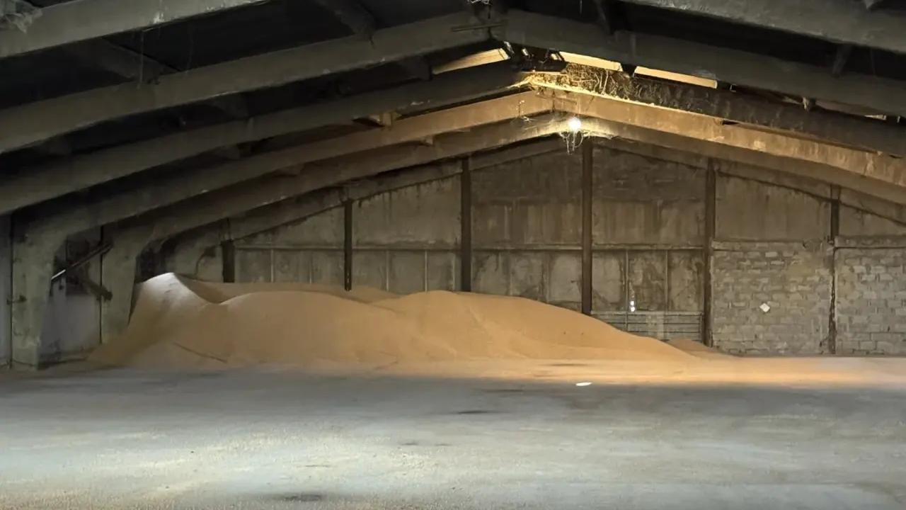 Трёх мужчин осудят за аферу с хищением пшеницы и горчицы на 5,2 миллиона рублей в Ростовской области