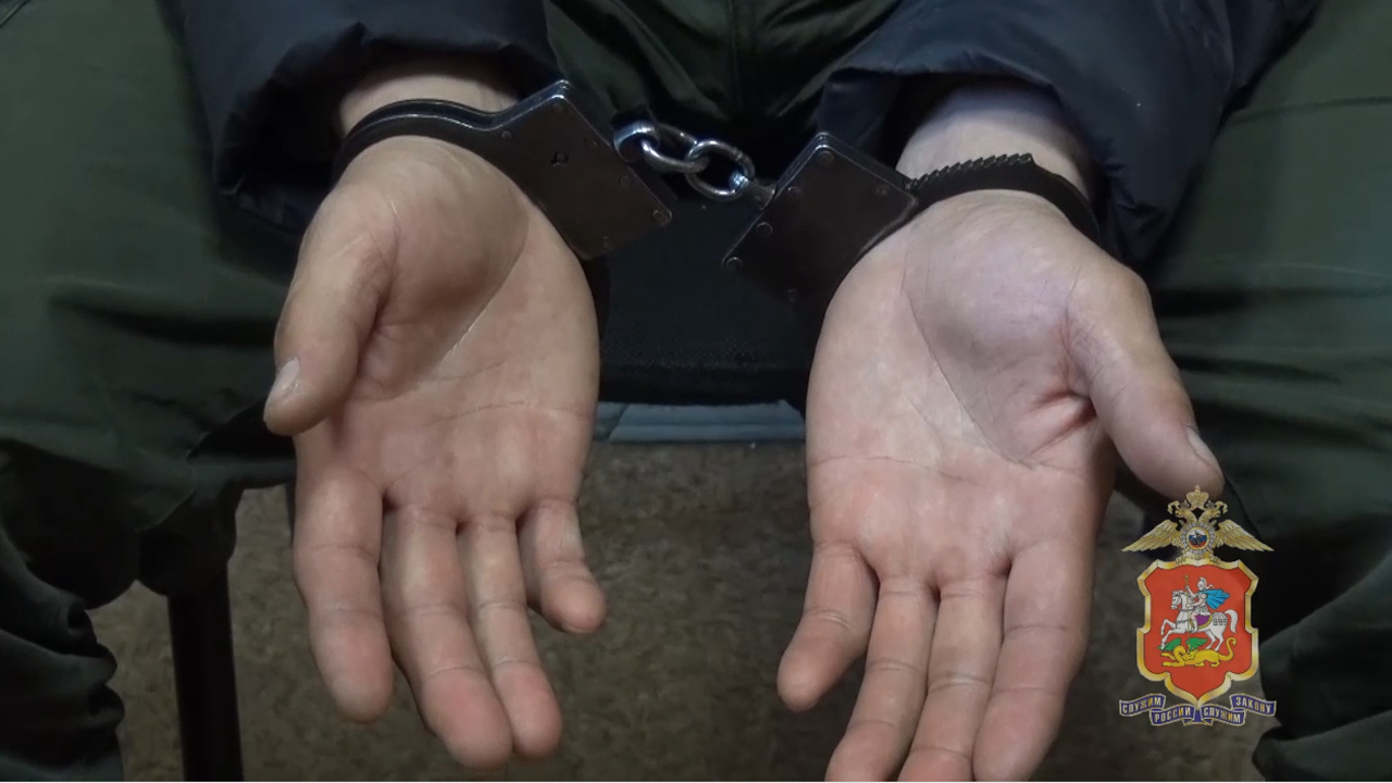 Подмосковная полиция задержала подозреваемого в хищении грузов на сумму свыше 7 млн рублей