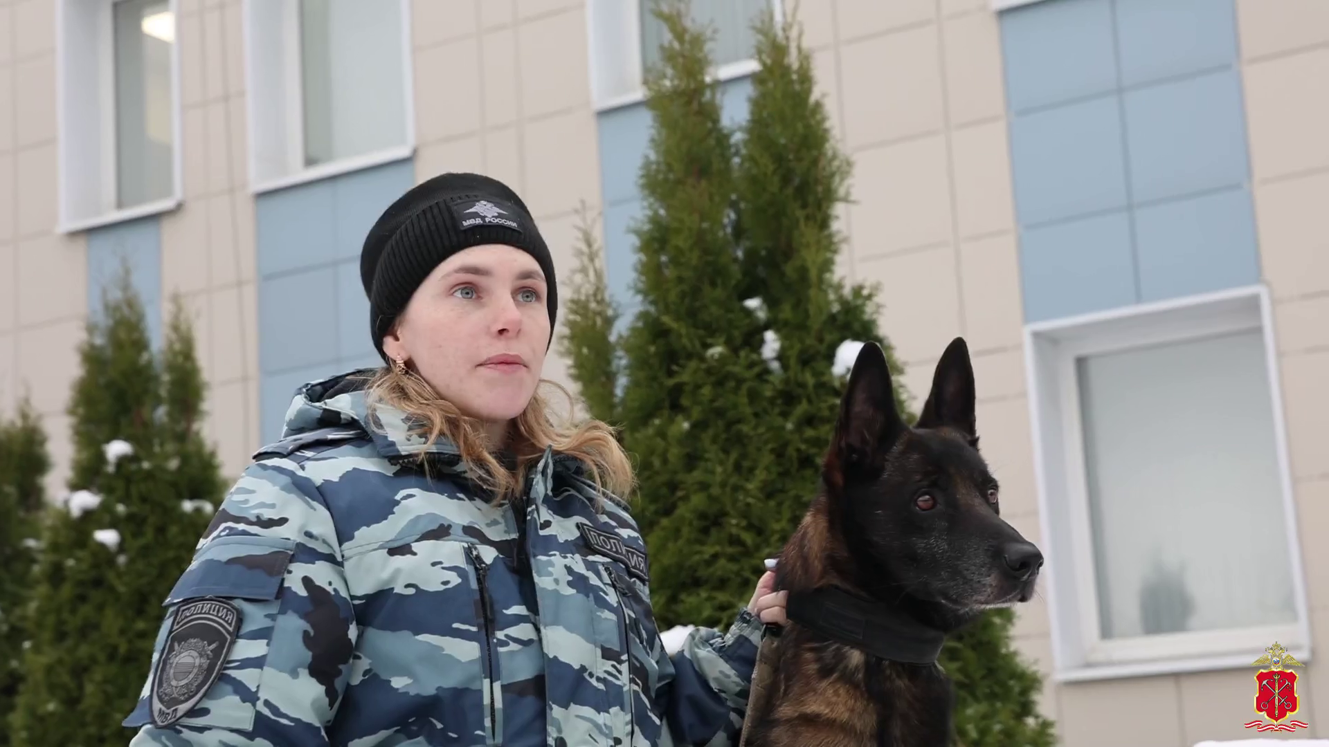 Служебный пёс по кличке Ямато помог полицейским задержать поджигателя вышки связи в Ленобласти