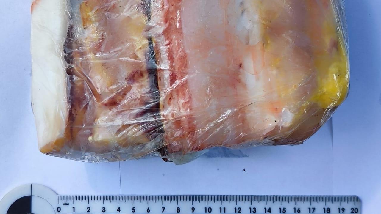 Хабаровские госавтоинспекторы уличили местного жителя в незаконной перевозке краснокнижной рыбы