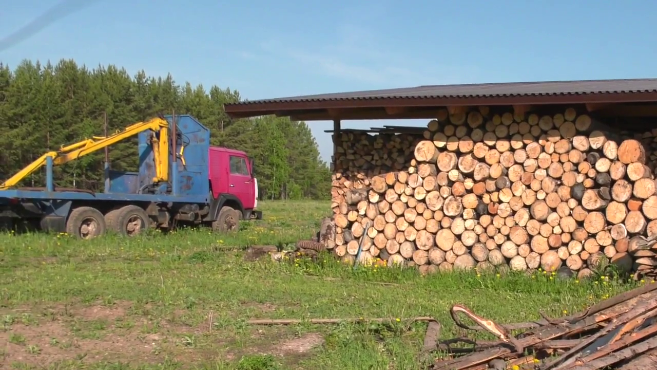 В Прикамье правоохранители пресекли преступную деятельность «черных лесорубов»