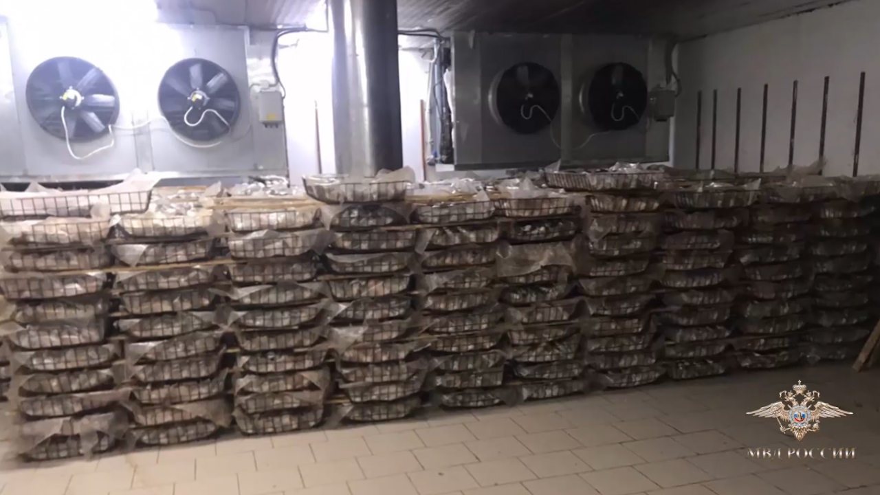 Ирина Волк: Ростовские полицейские изъяли из оборота 75 тонн незаконно добытой рыбы