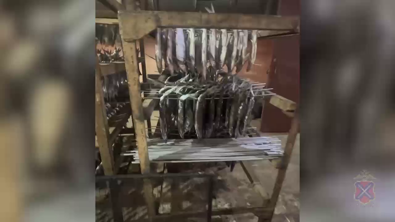 В Волгограде полицейские пресекли деятельность нелегального цеха по копчению и вялению рыбы