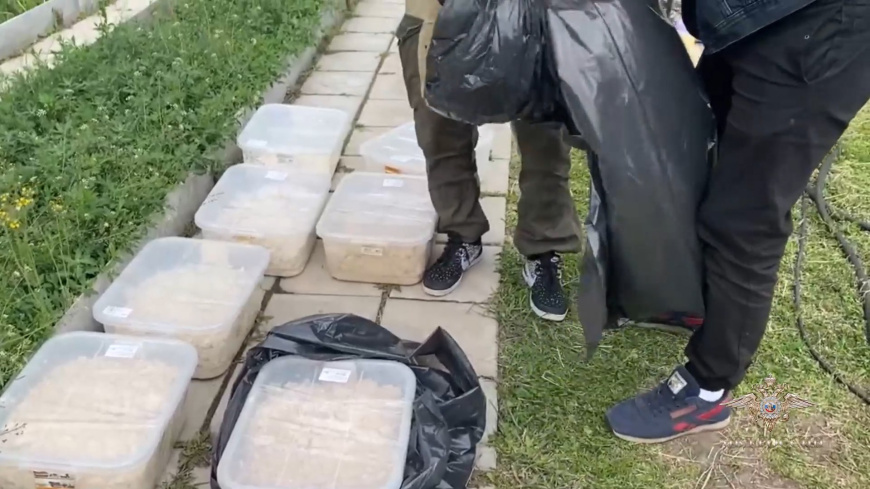 Полицейские ликвидировали нарколабораторию и изъяли свыше 250 кг запрещённых веществ