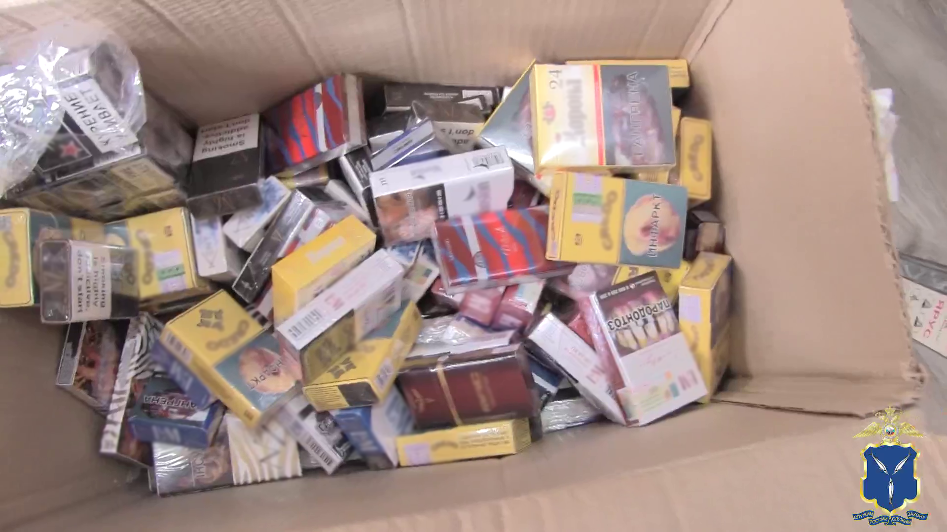 В Кировском районе Саратова полиция выявила склады с контрафактными сигаретами на 50 млн рублей