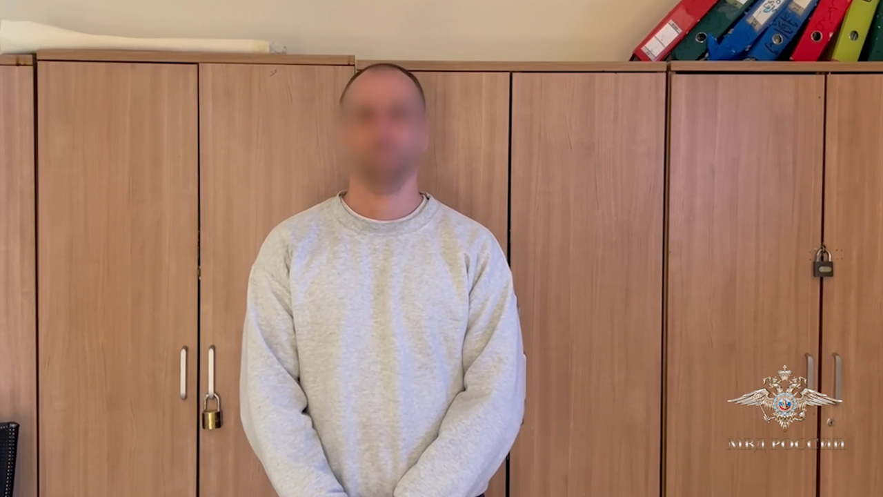 Ирина Волк: В Каире сотрудникам НЦБ Интерпола МВД России передан обвиняемый в разбое, который ранее был депортирован из США
