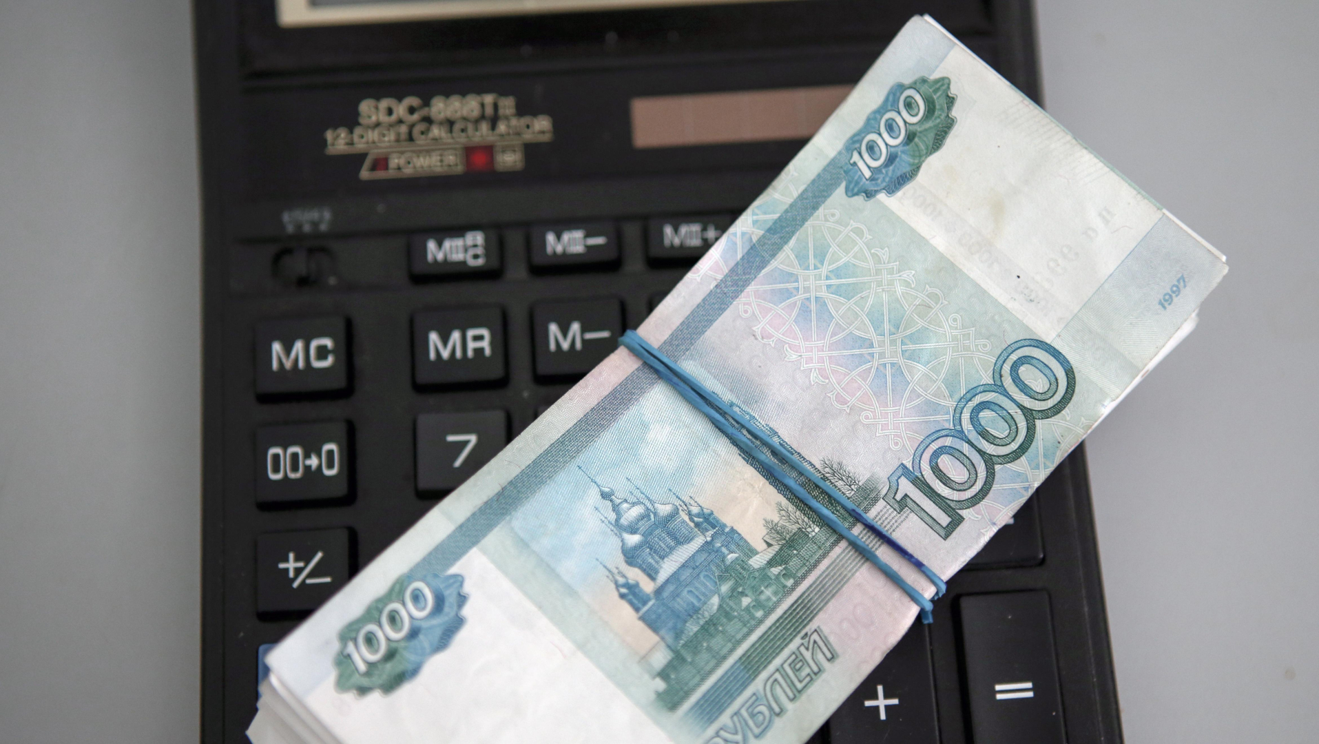 Полиция Хакасии подозревает директора лесхоза в сокрытии 6,2 млн рублей от взыскания налоговиками