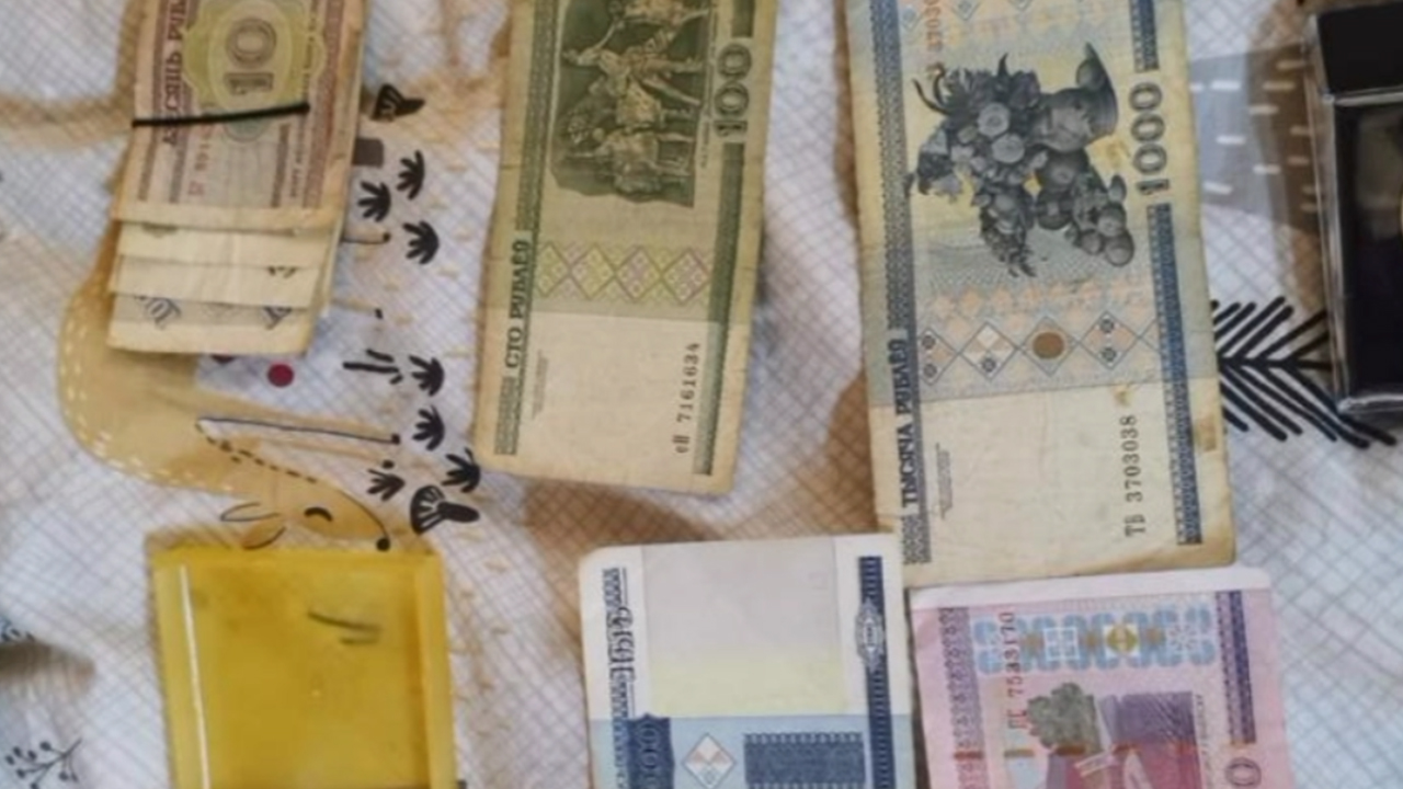 Задержаны серийные домушники, действовавшие под видом специалистов по проверке счётчиков