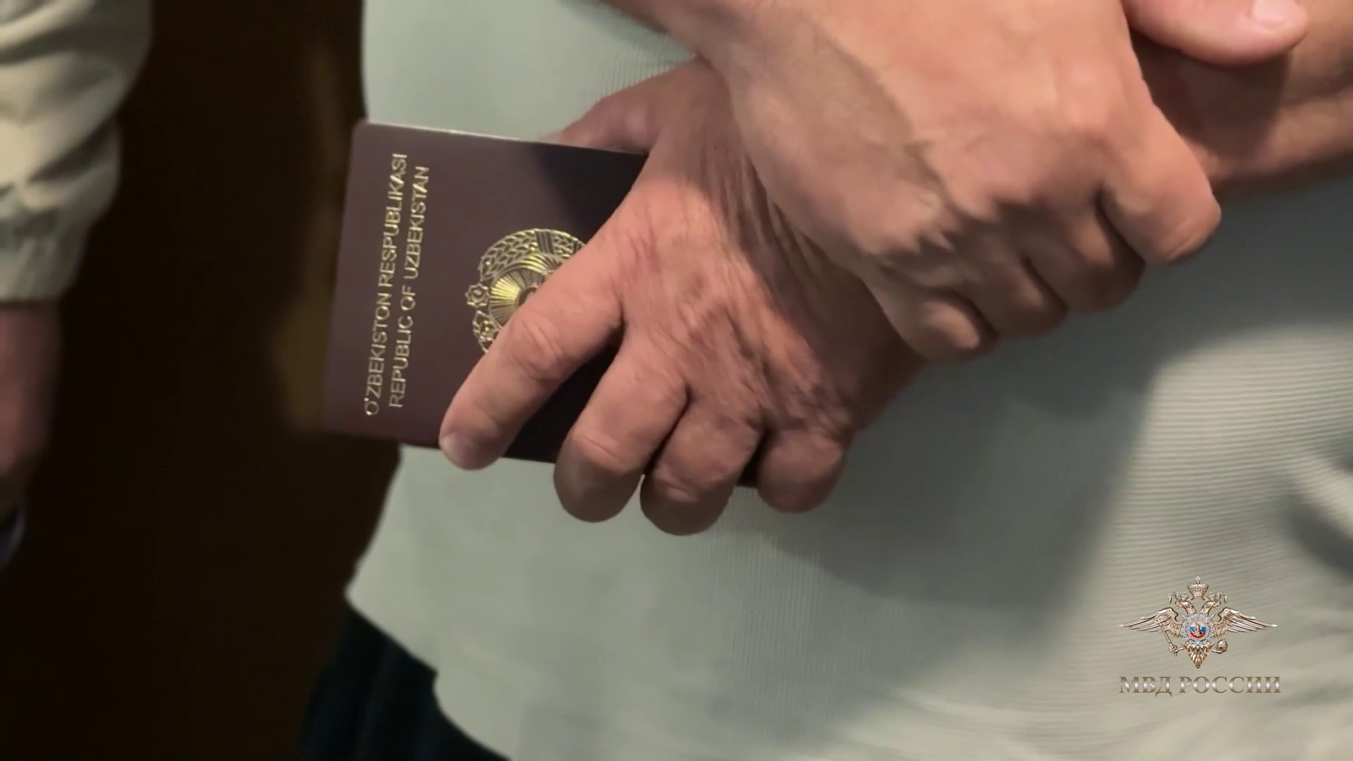 Ирина Волк: В Санкт-Петербурге полицейские ликвидировали канал нелегальной миграции