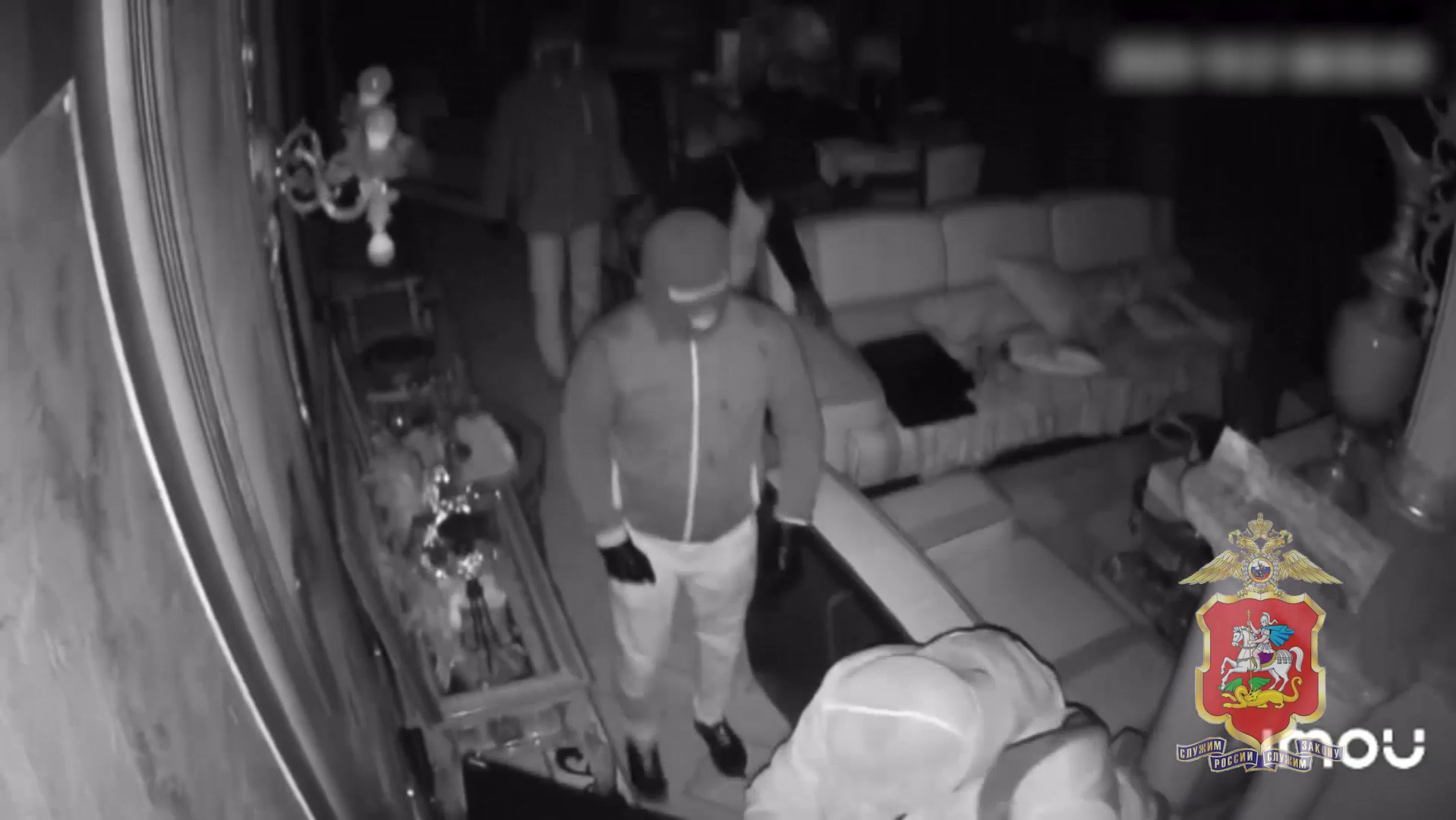 Один из подельников, подозреваемый в попытке кражи из дома в Видном, заключён под стражу в Подмосковье