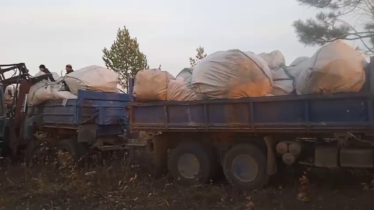 Полиции Приамурья потребовался грузовик с прицепом, чтобы вывезти изъятую у наркодельцев коноплю