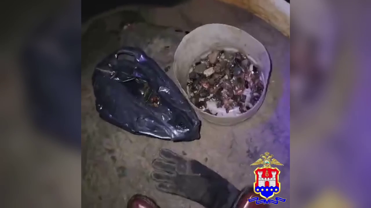 Полиция Калининградской области пресекла незаконную добычу янтаря тремя мужчинами у посёлка Синявино