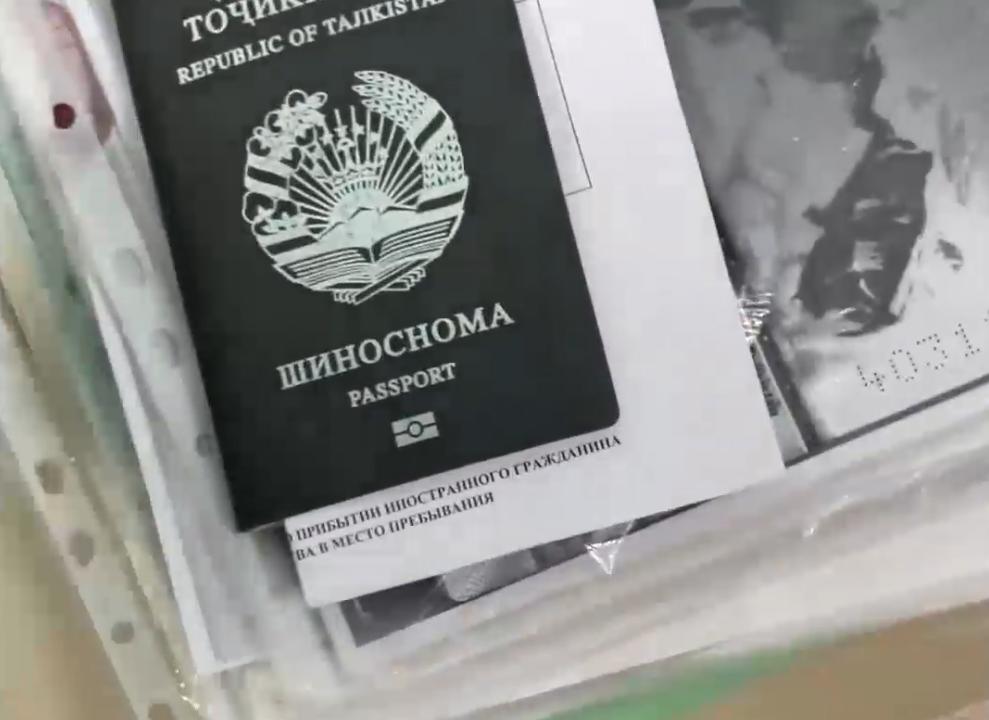 Ирина Волк: В Волгоградской области полицейские задержали подозреваемых в организации незаконной миграции