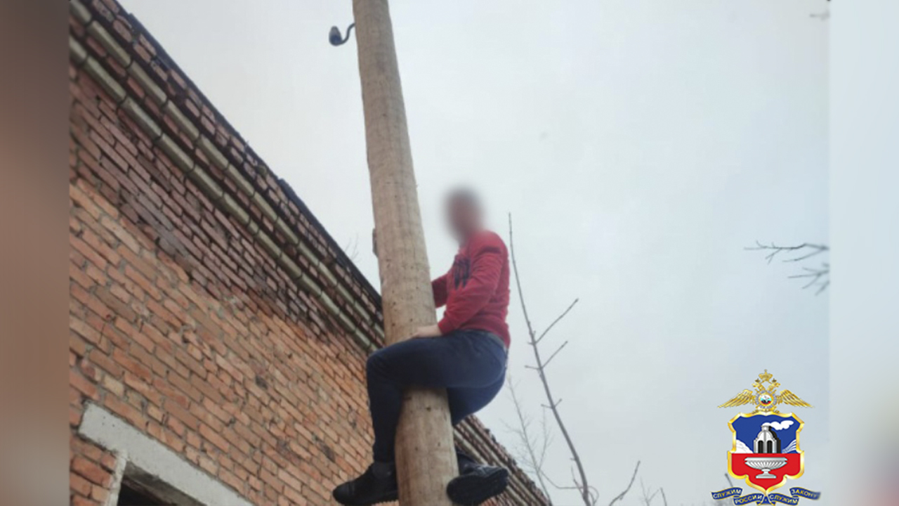 Кражу кабелей общей протяжённостью свыше 1,6 километра раскрыли полицейские в Алтайском крае