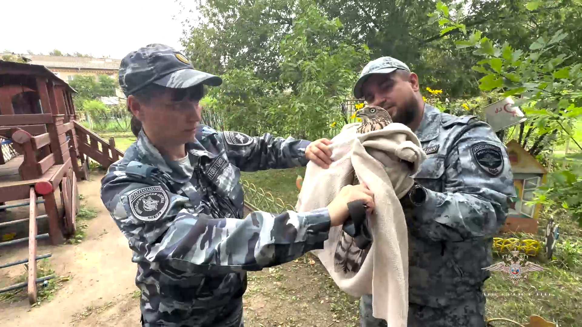 Ирина Волк: В Свердловской области сотрудники полиции спасли молодого ястреба