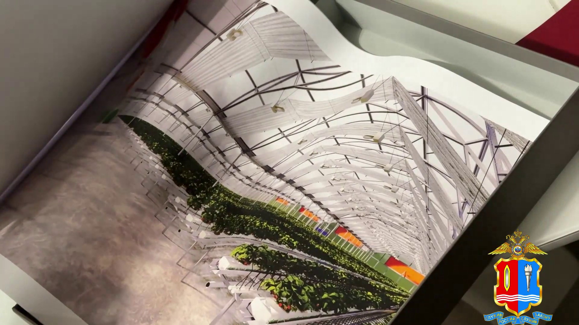 Ивановские полицейские задержали двух бизнесменов за аферу с получением гранта на выращивание ягод