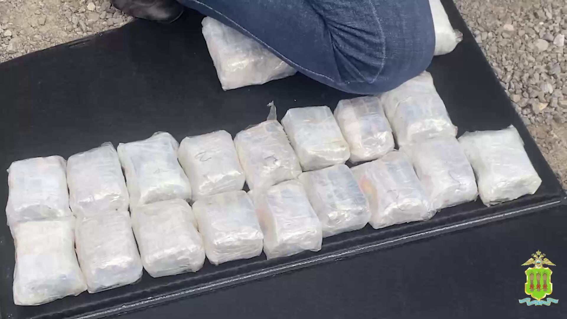 В Пензенской области задержаны двое наркокурьеров, намеревавшихся сбыть 16 килограммов гашиша и «соли»