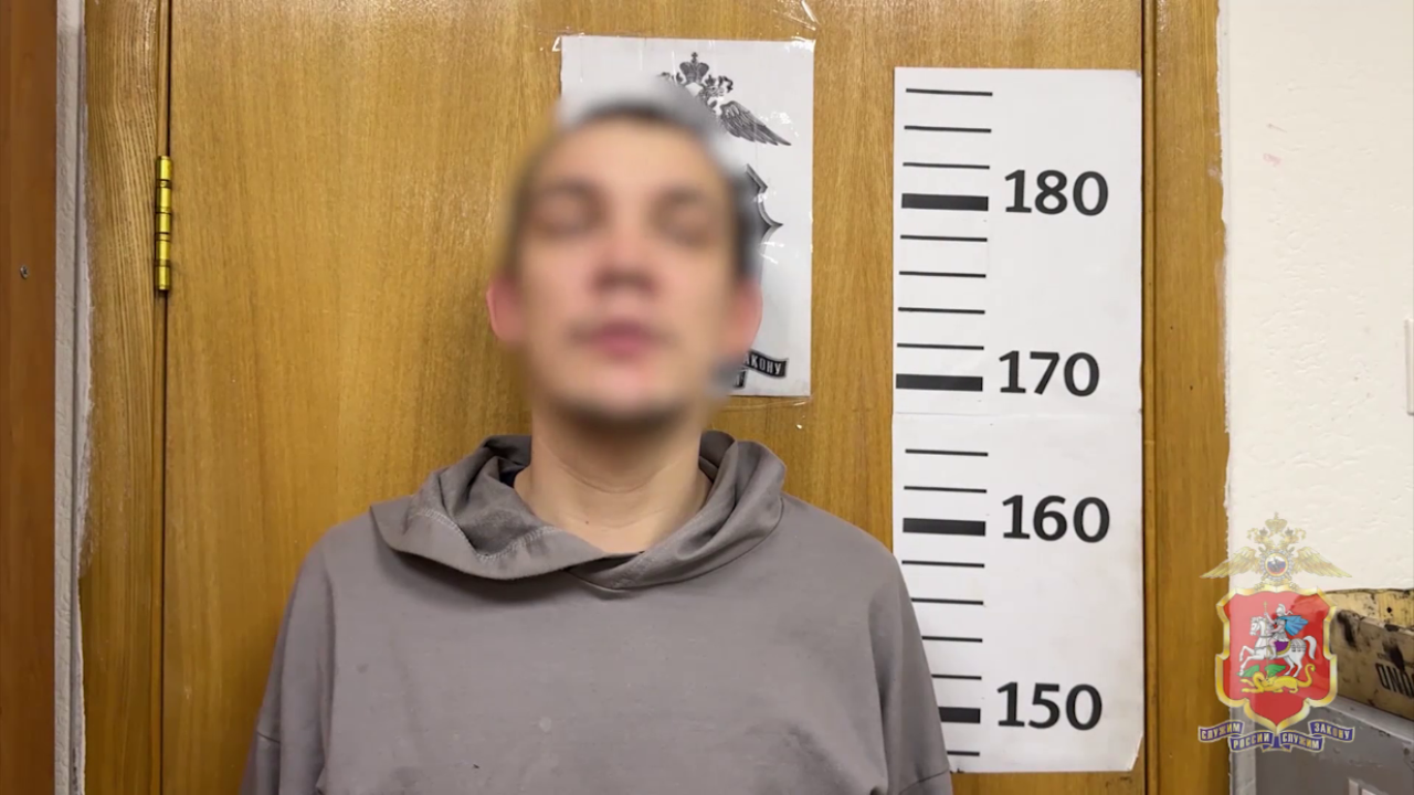 Полицией задержан москвич, подозреваемый в краже товаров из магазина самообслуживания в Подмосковье